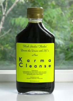 karma cleanse_20171026142135
