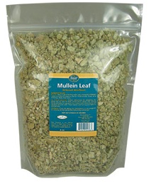 mullein_20171026142122